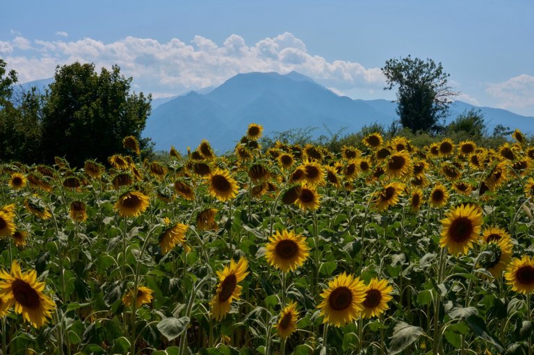 Mount Olympus, home of the ancient Greek gods, is a candidate for the UNESCO World Heritage List | iNFOnews.ca