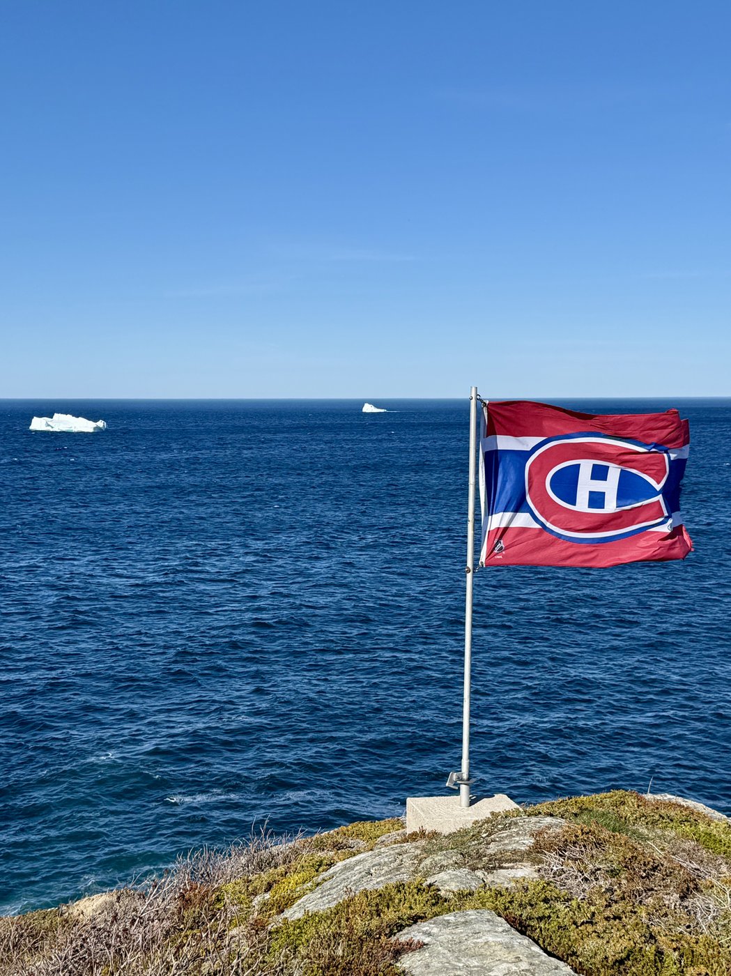 Alex Newhook fans turn N.L. bars into 'mini Bell Centres' during Habs playoff games | iNFOnews.ca Alex Newhook fans turn N.L. bars into 'mini Bell Centres' during Habs playoff games | iNFOnews.ca