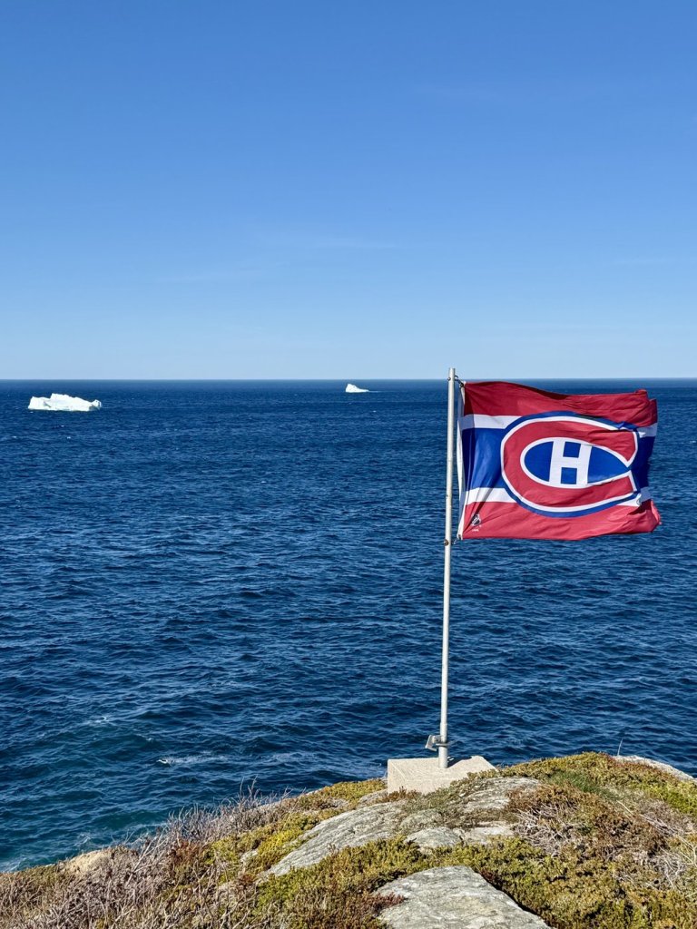 Alex Newhook fans turn N.L. bars into 'mini Bell Centres' during Habs playoff games | iNFOnews.ca