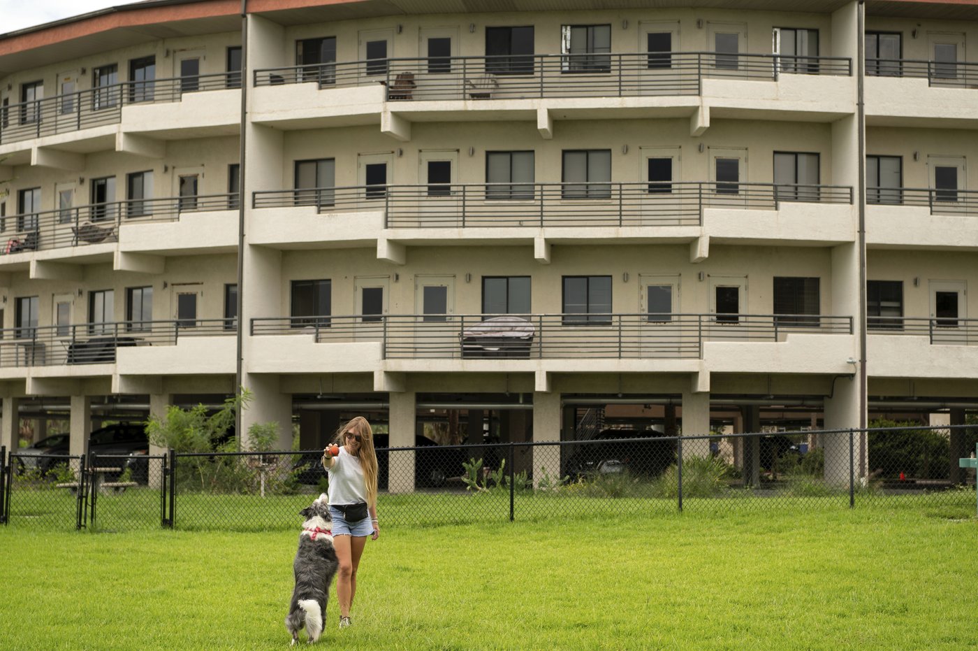 These colleges are welcoming pets in dorms to reduce students' stress and anxiety | iNFOnews.ca These colleges are welcoming pets in dorms to reduce students' stress and anxiety | iNFOnews.ca