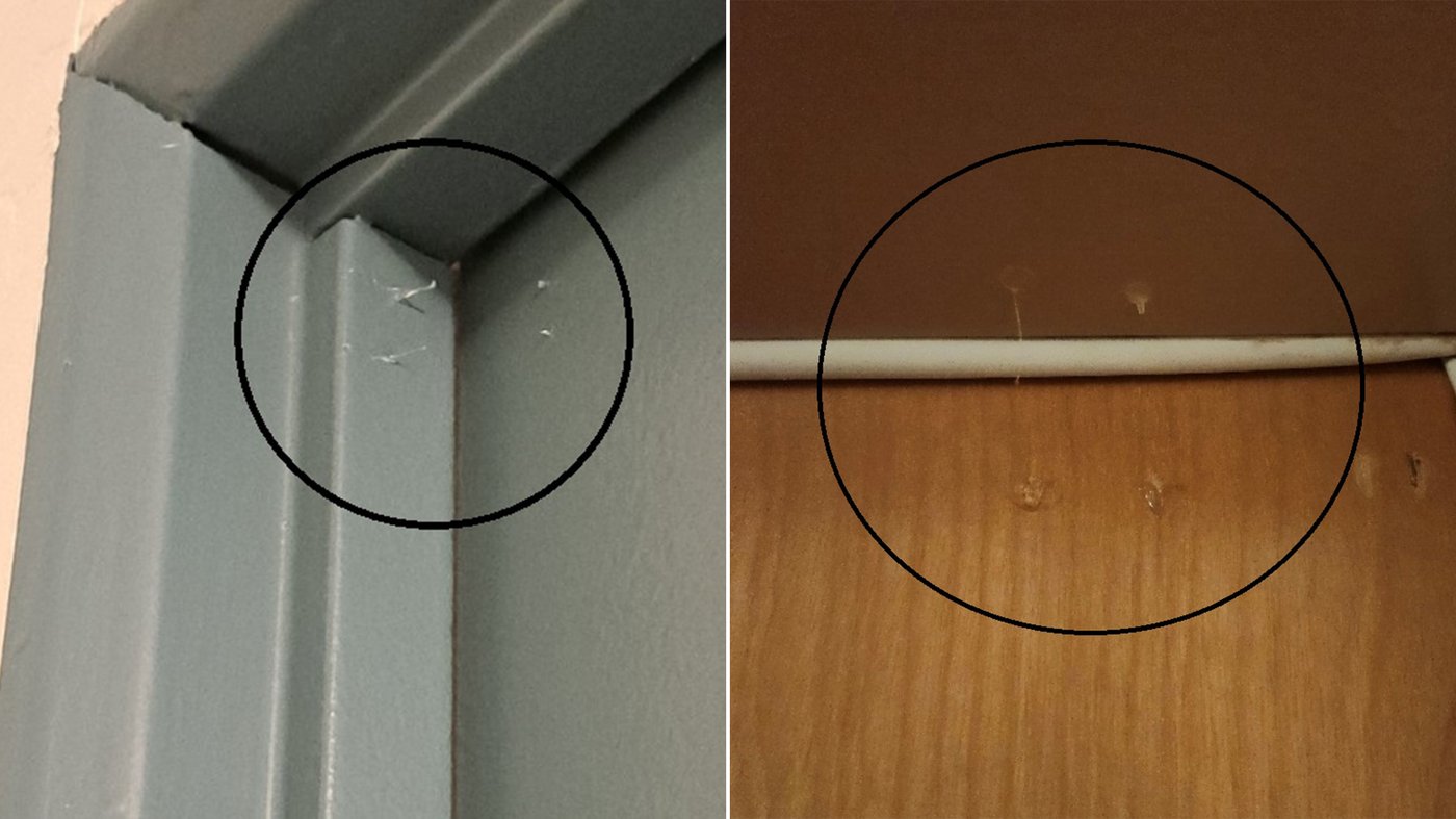 How sticky-fingered thieves use hot glue to find break-in targets in Vancouver | iNFOnews.ca