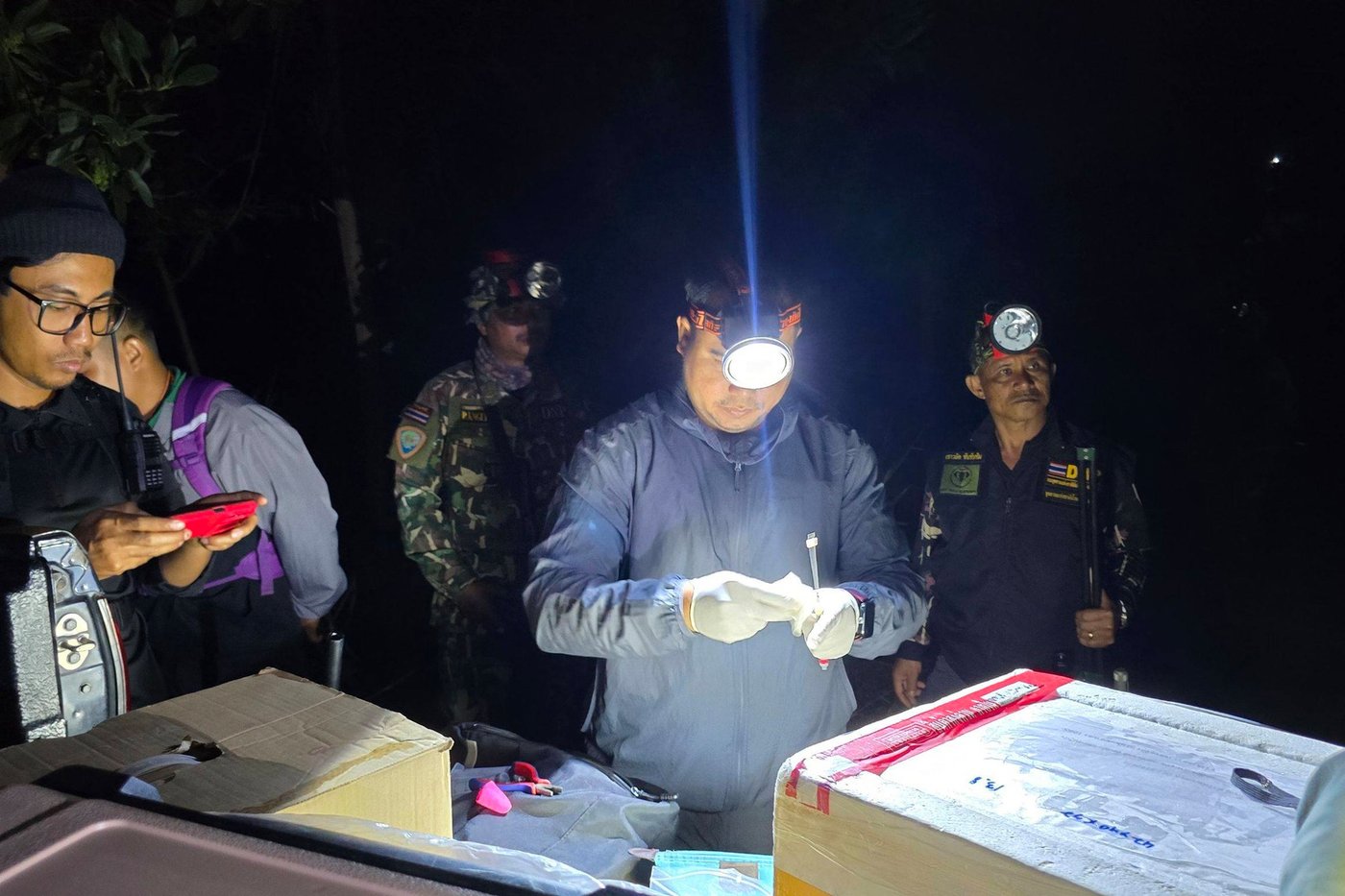 Thailand uses a birth control vaccine to curb its elephant population near expanding farms | iNFOnews.ca