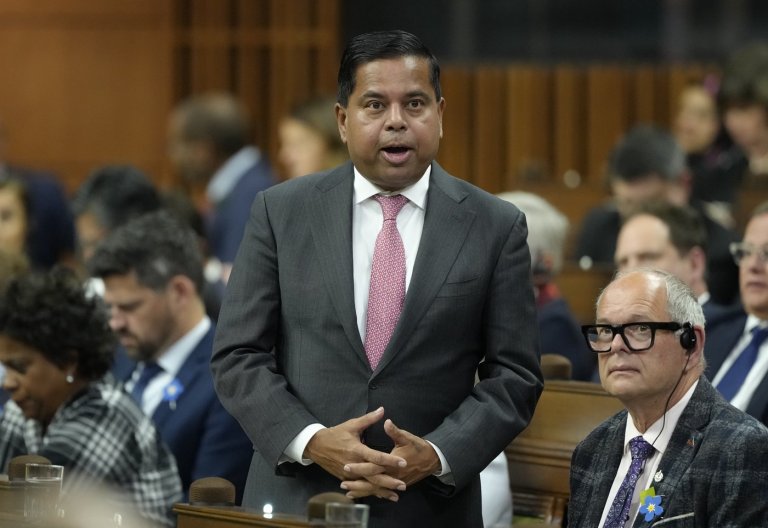 Anandasangaree says lack of help from some provinces, police won't thwart gun buyback | iNFOnews.ca