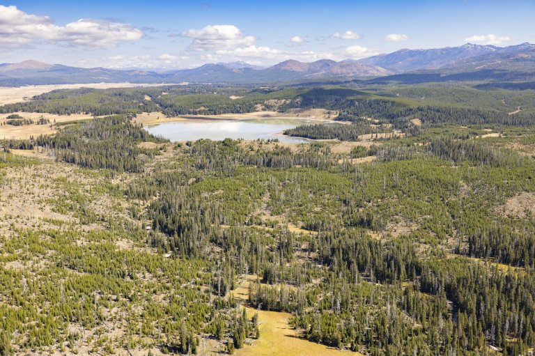 Bear attack on hiker closes trail in Yellowstone | iNFOnews.ca