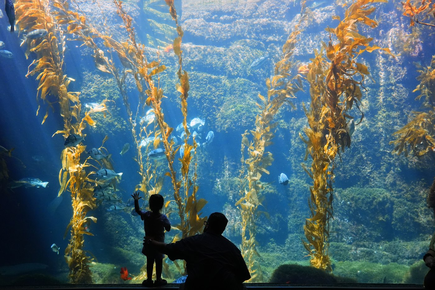 Daily life around the world, in photos | iNFOnews.ca