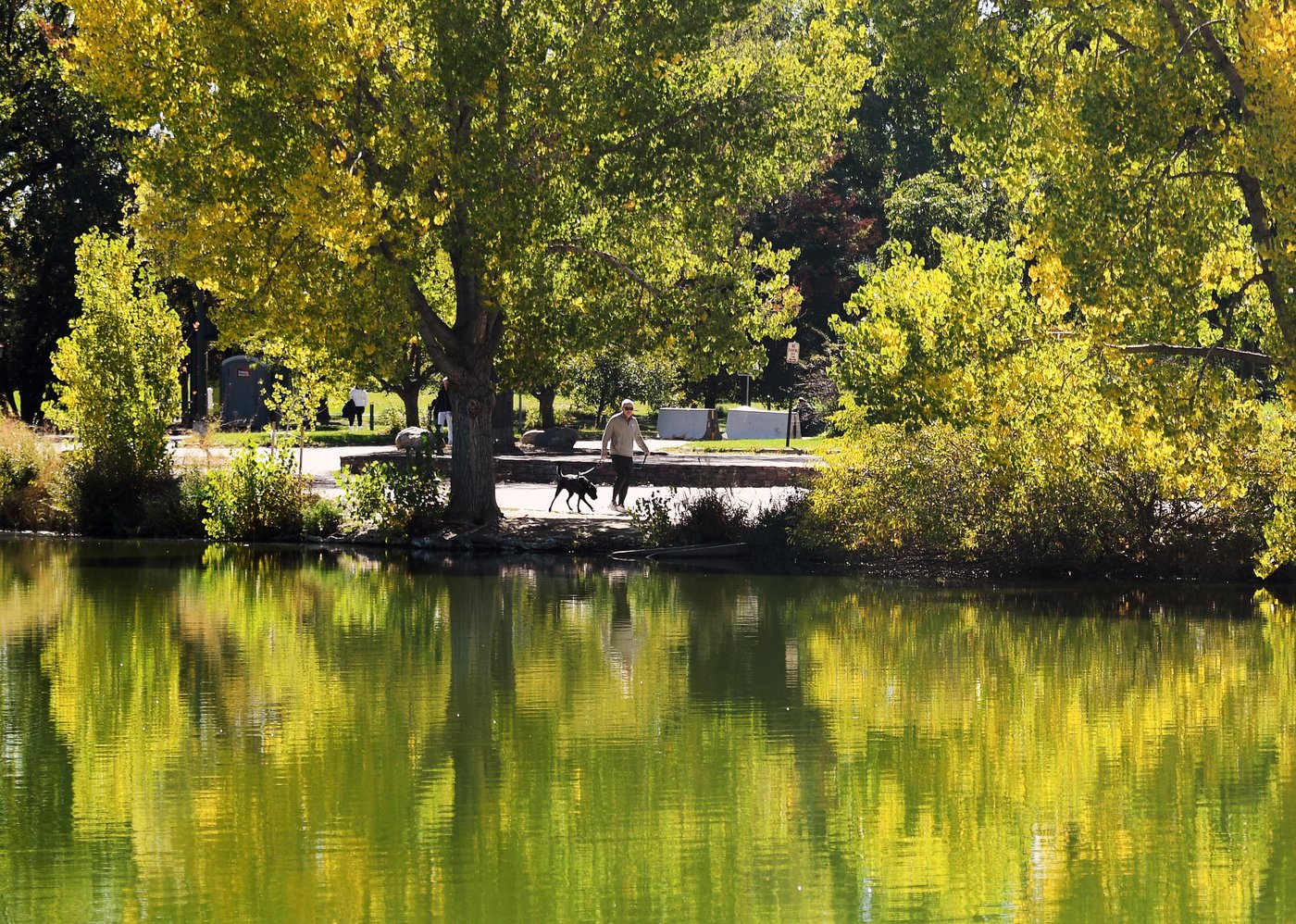 WATCH LIVE: New England's having an 'elite' year, but there's fall foliage elsewhere, too | iNFOnews.ca