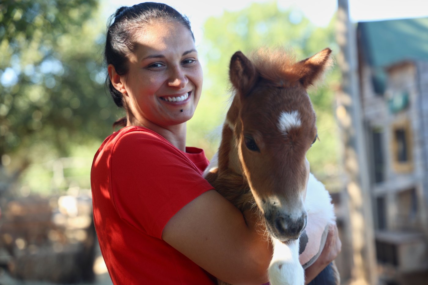 A month-old pony moves to a 4th-floor apartment in Croatia. Neighbors don't mind | iNFOnews.ca A month-old pony moves to a 4th-floor apartment in Croatia. Neighbors don't mind | iNFOnews.ca
