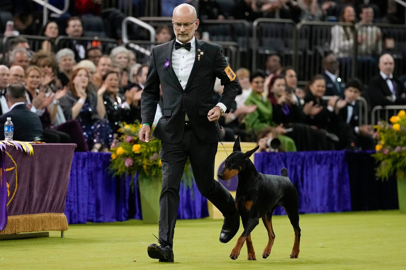 Penny the Doberman pinscher wins the 150th Westminster dog show | iNFOnews.ca