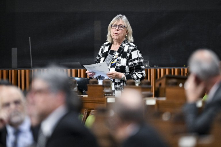 Elizabeth May says Greens can win byelection by campaigning on PM's climate record | iNFOnews.ca