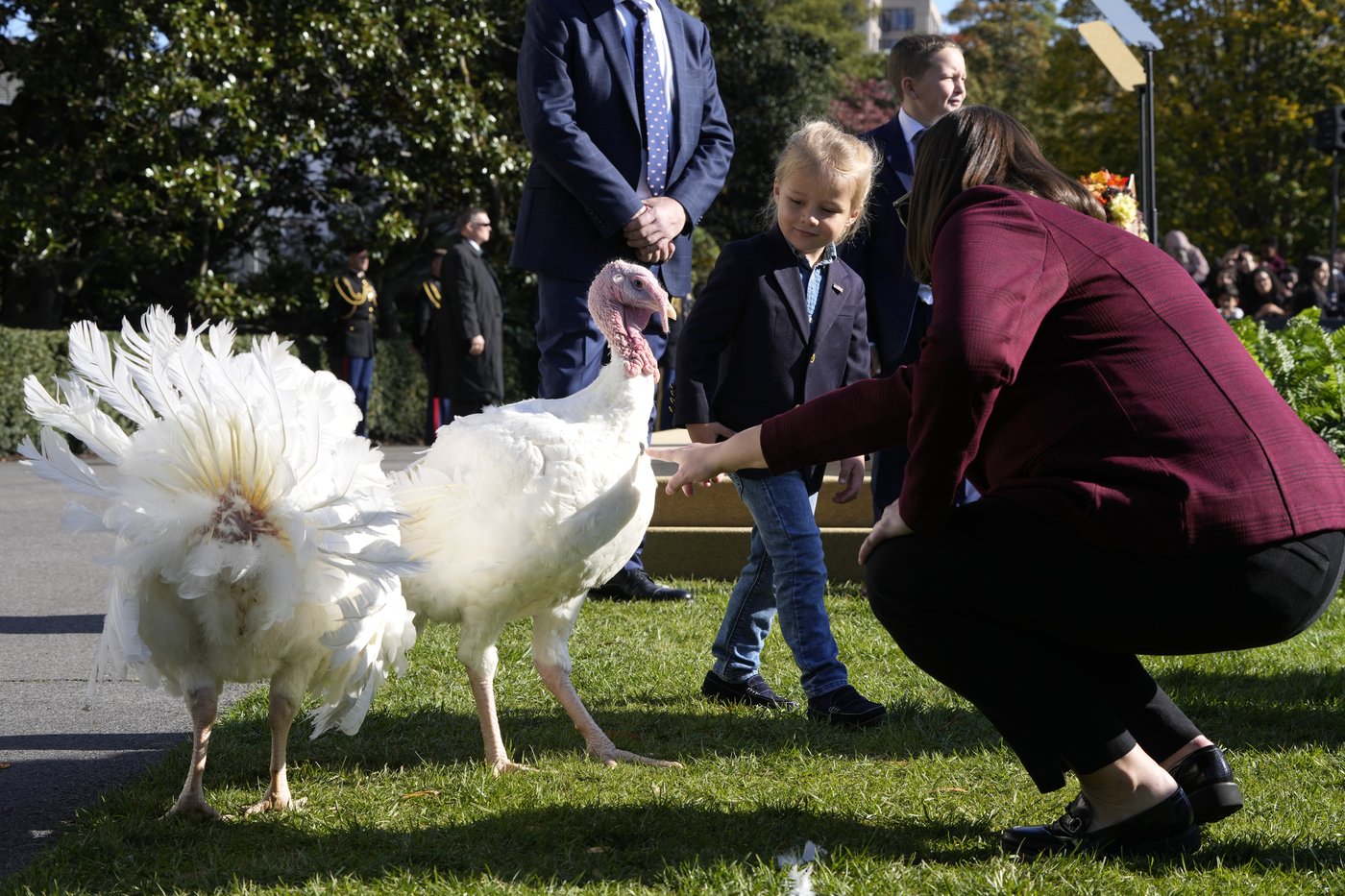 Joe Biden begins final White House holiday season with turkey pardons for 'Peach' and 'Blossom' | iNFOnews.ca