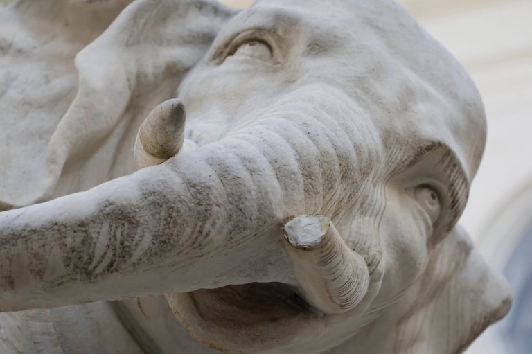 Police on the case: How Rome's beloved Bernini elephant sculpture lost the tip of its tusk - again | iNFOnews.ca