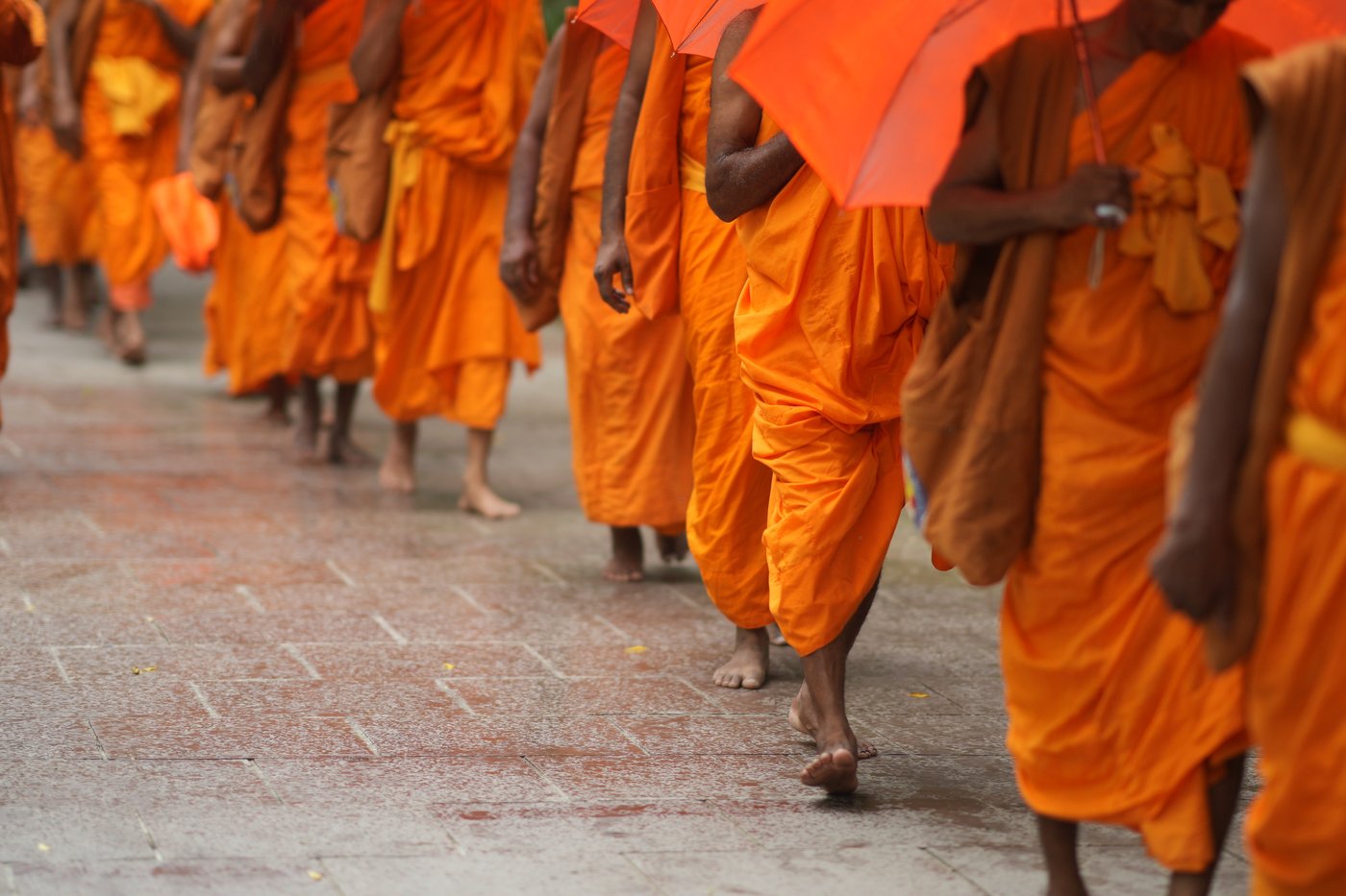 The ancient Buddhist site of Sarnath that has been added to the World Heritage list, in photos | iNFOnews.ca