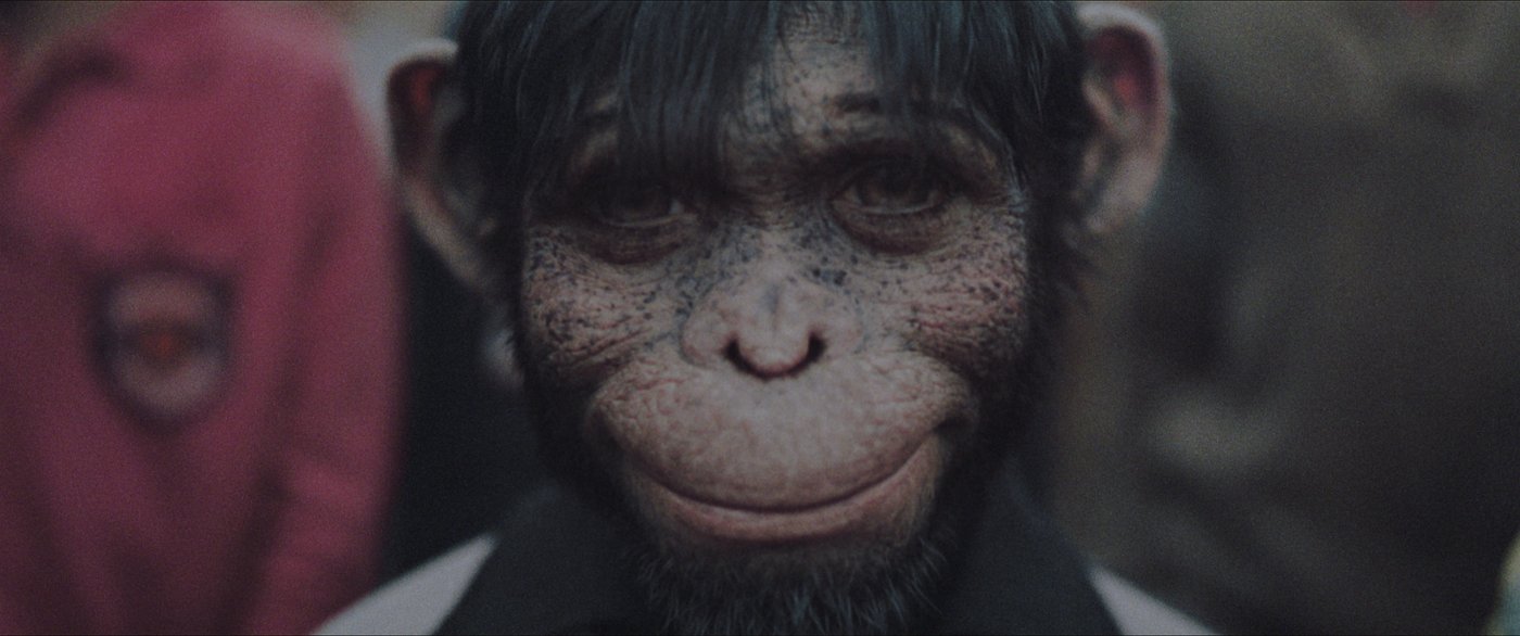 Robbie Williams: 'I’ve been a cheeky monkey all my life' | iNFOnews.ca
