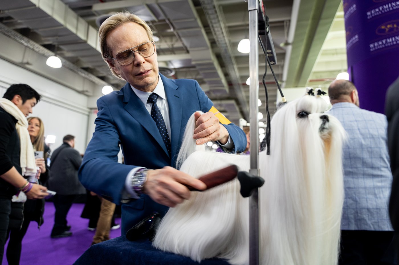 Couples at the Westminster show bond over dogs, and each other | iNFOnews.ca Couples at the Westminster show bond over dogs, and each other | iNFOnews.ca