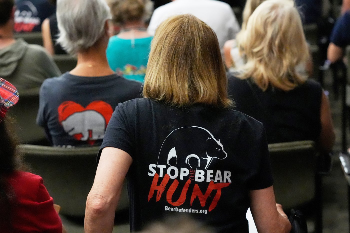 More than 160,000 apply for Florida's first bear hunt in a decade, wildlife officials say | iNFOnews.ca More than 160,000 apply for Florida's first bear hunt in a decade, wildlife officials say | iNFOnews.ca