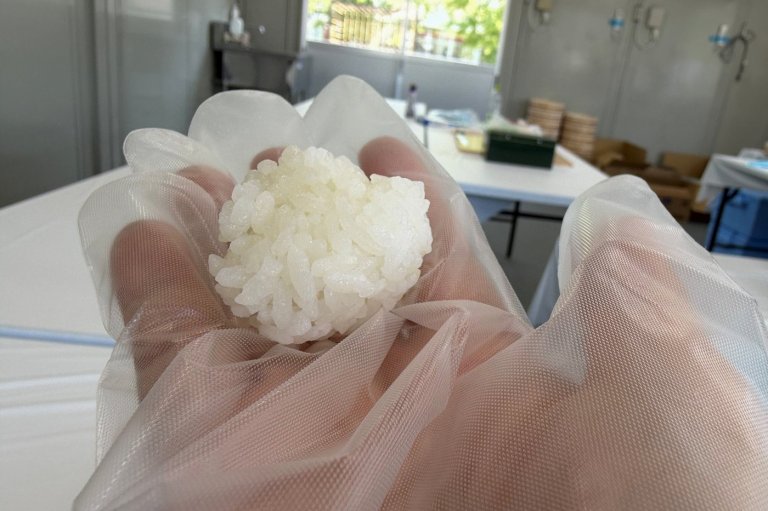 Once the preserve of elite chefs, sushi-making can be fun | iNFOnews.ca