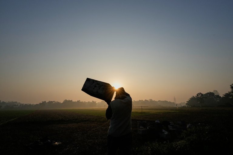 India's migratory beekeepers and their hives follow the flowers to make the honey flow | iNFOnews.ca