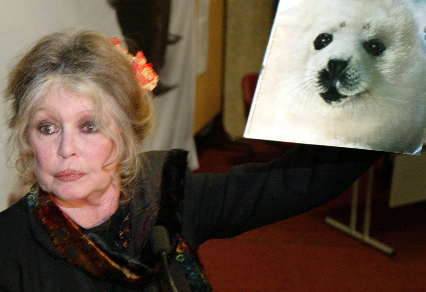 French actor Brigitte Bardot remembered in Canada for fighting seal hunt | iNFOnews.ca French actor Brigitte Bardot remembered in Canada for fighting seal hunt | iNFOnews.ca