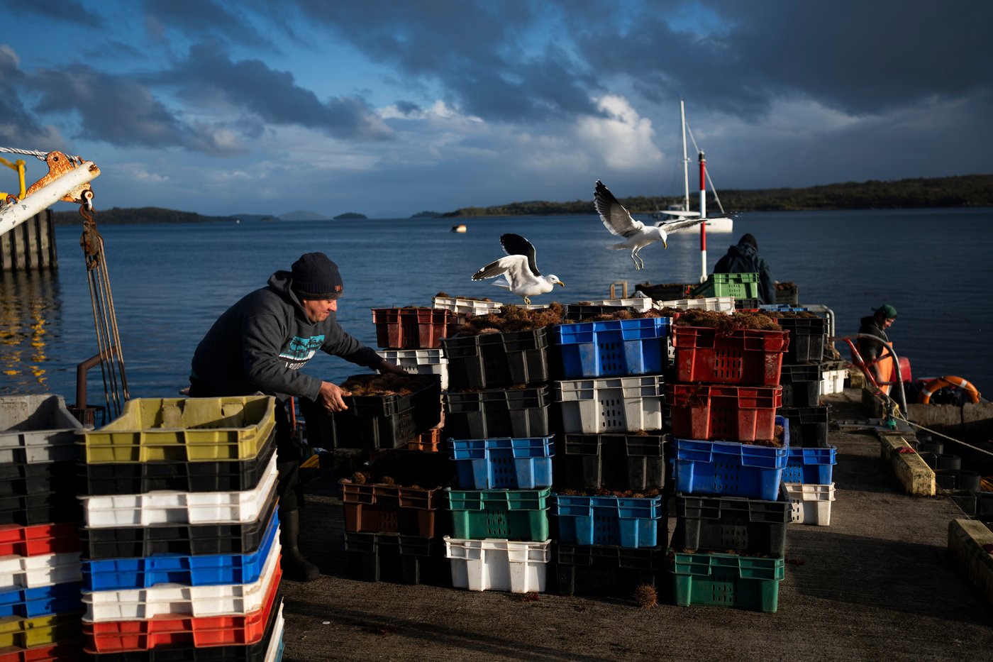 In southern Chile, locals push to protect oceans that have been hurt by intensive salmon farming | iNFOnews.ca In southern Chile, locals push to protect oceans that have been hurt by intensive salmon farming | iNFOnews.ca