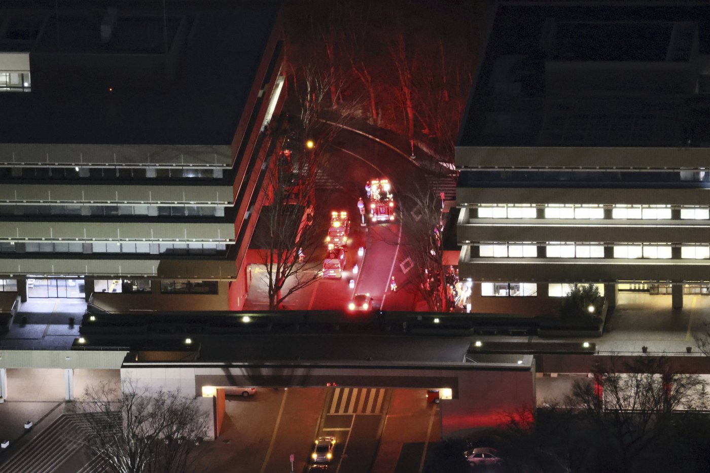 Police arrest student suspected of hammer attack at a Tokyo university | iNFOnews.ca