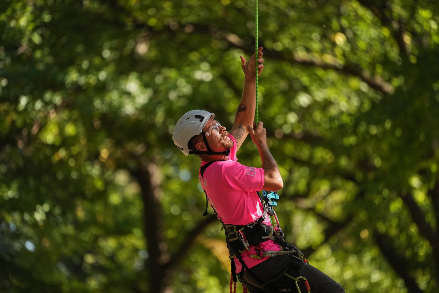 Climbers scale St. Louis trees during international tree climbing competition | iNFOnews.ca