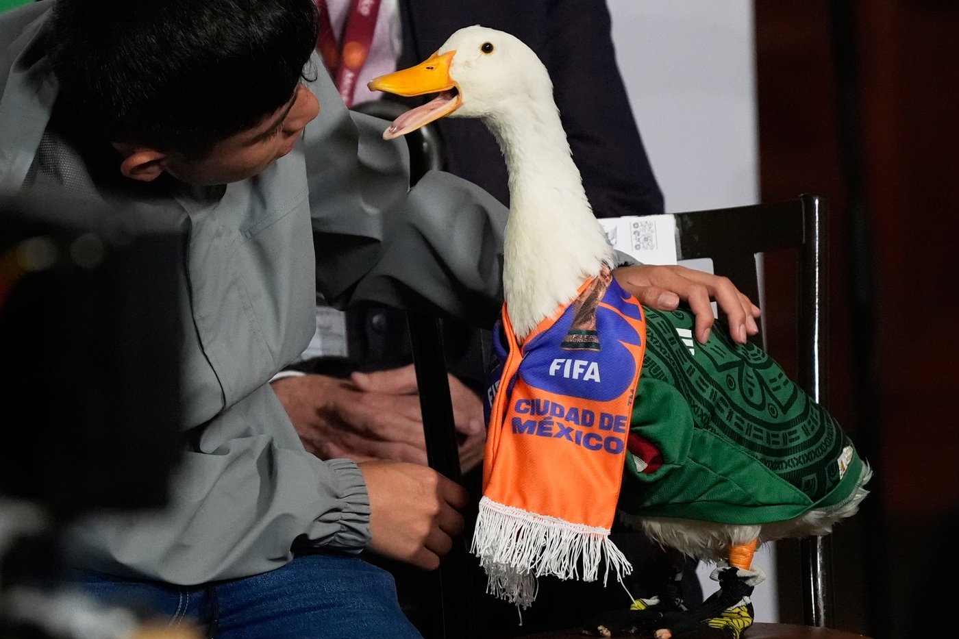 Merlín the duck takes a trip to the stadium, but FIFA rules keep him out of Mexico match | iNFOnews.ca