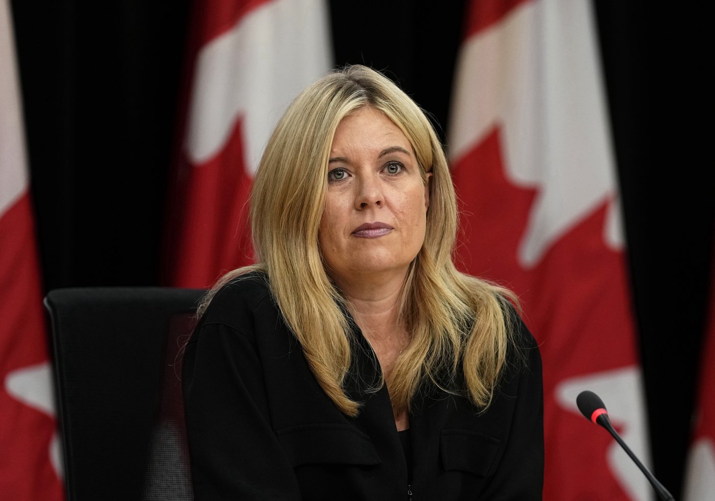 Immigration board asks feds to better track temporary residents | iNFOnews.ca