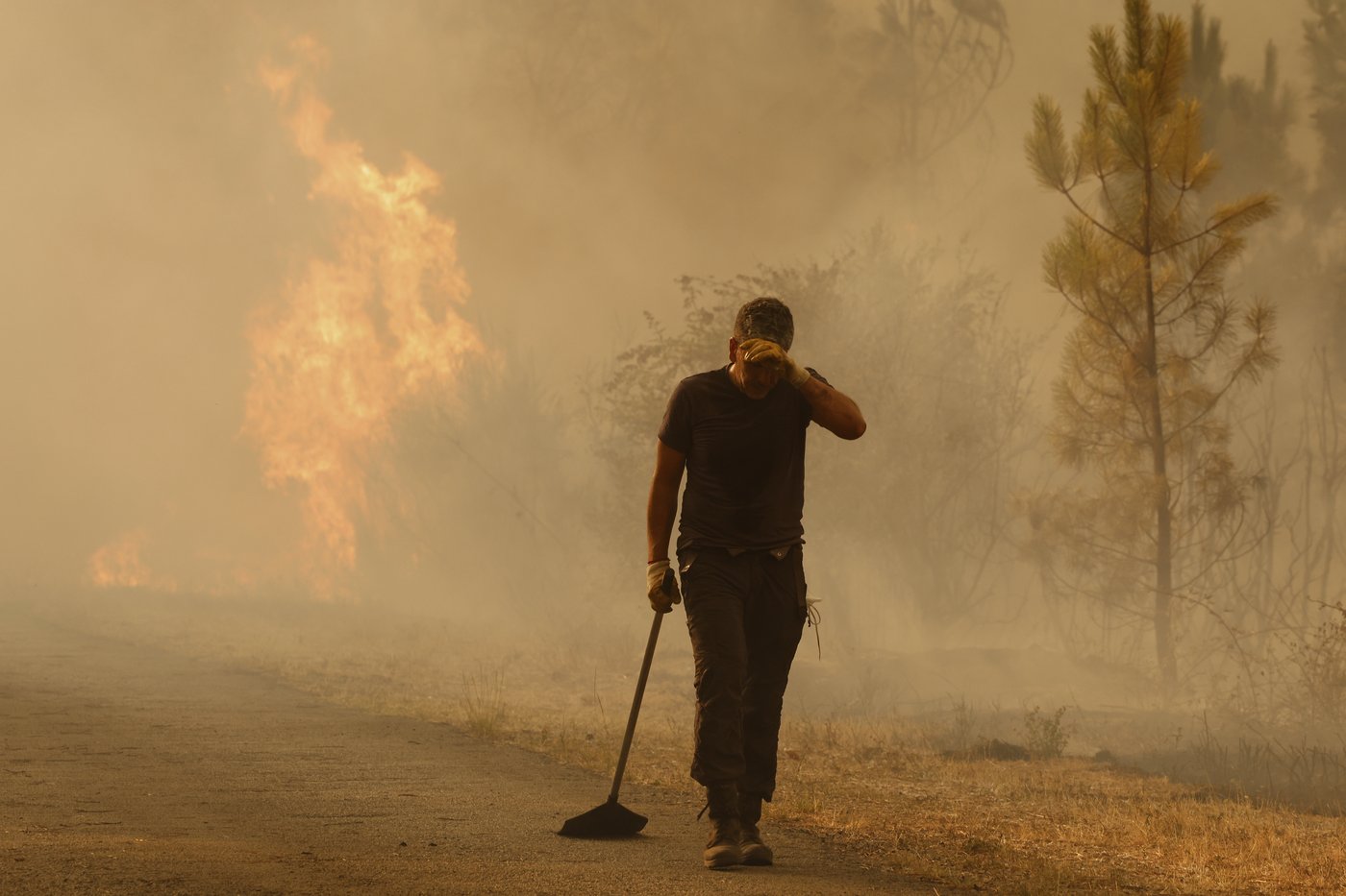 Wildfires kill at least 3 and displace thousands across southern Europe | iNFOnews.ca