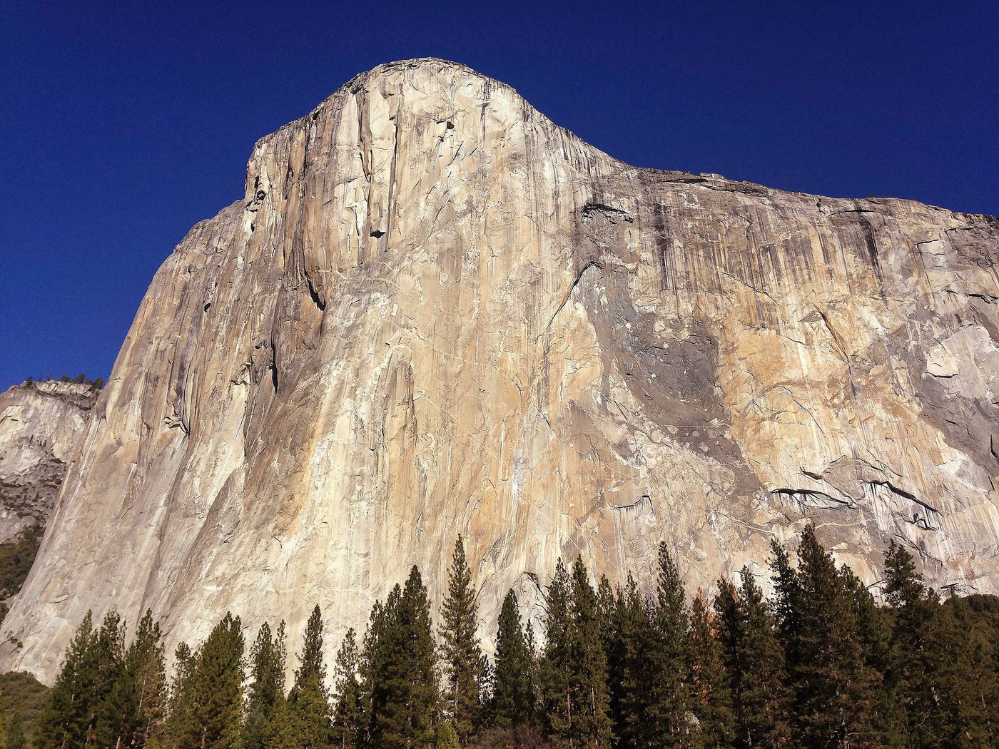 Alaskan climbing star dies in fall from Yosemite's El Capitan | iNFOnews.ca Alaskan climbing star dies in fall from Yosemite's El Capitan | iNFOnews.ca