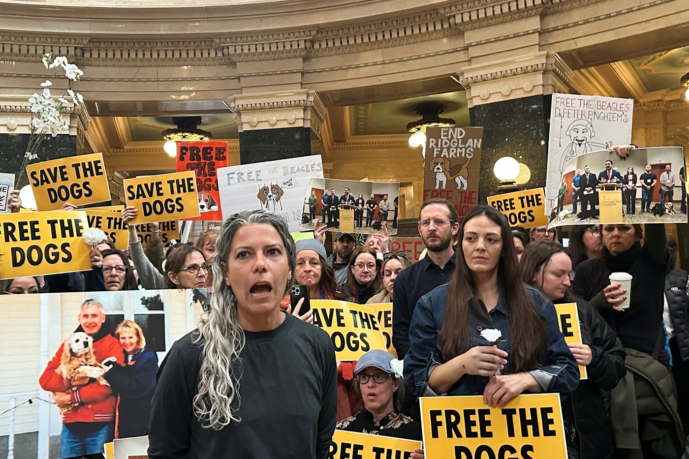 Animal welfare protesters converge on Wisconsin governor's office seeking release of beagles | iNFOnews.ca