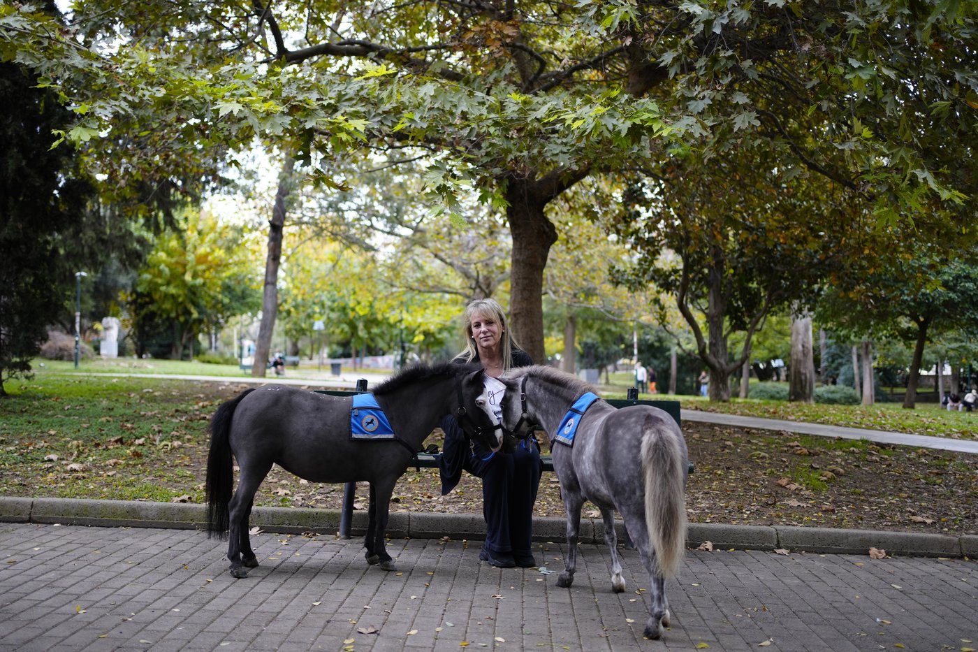 Greece's only miniature therapy horses bring joy to many, but their charity is struggling | iNFOnews.ca