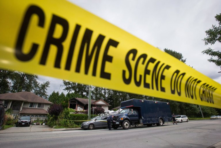 B.C. dog owner charged after mauling left woman with 'life-altering' injuries | iNFOnews.ca