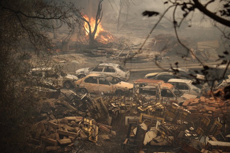 Algerians battle deadly wildfires as Tebboune seeks death penalty for arson | iNFOnews.ca