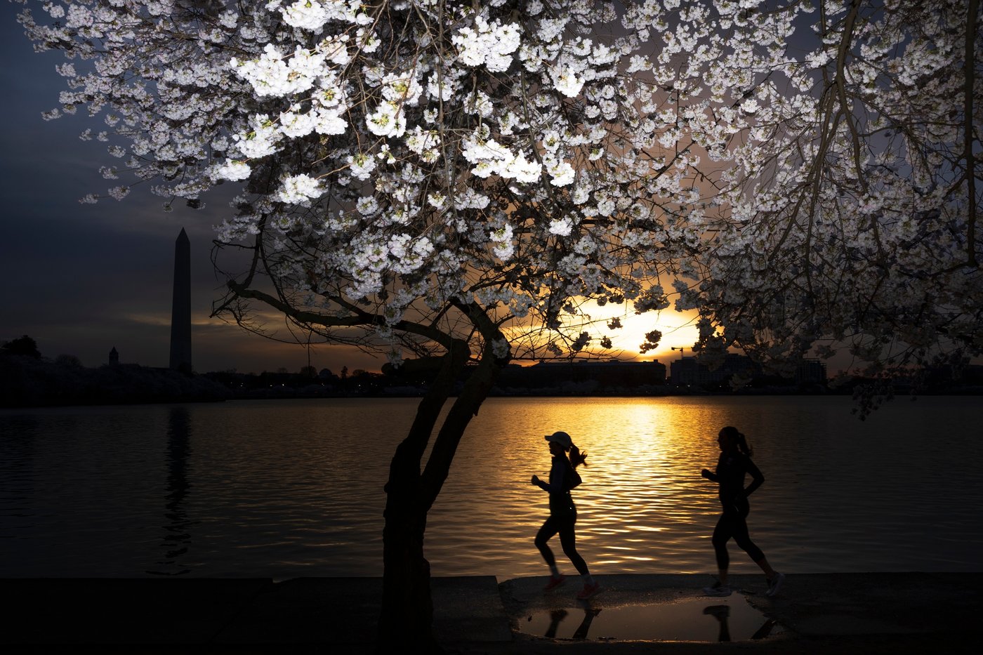 The top photos of the day by AP's photojournalists | iNFOnews.ca