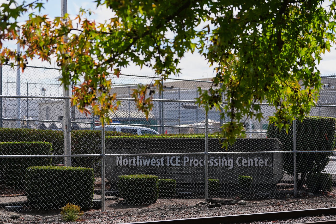 Feeling hopeless in custody, many drop claims to remain in the US, leave voluntarily | iNFOnews.ca