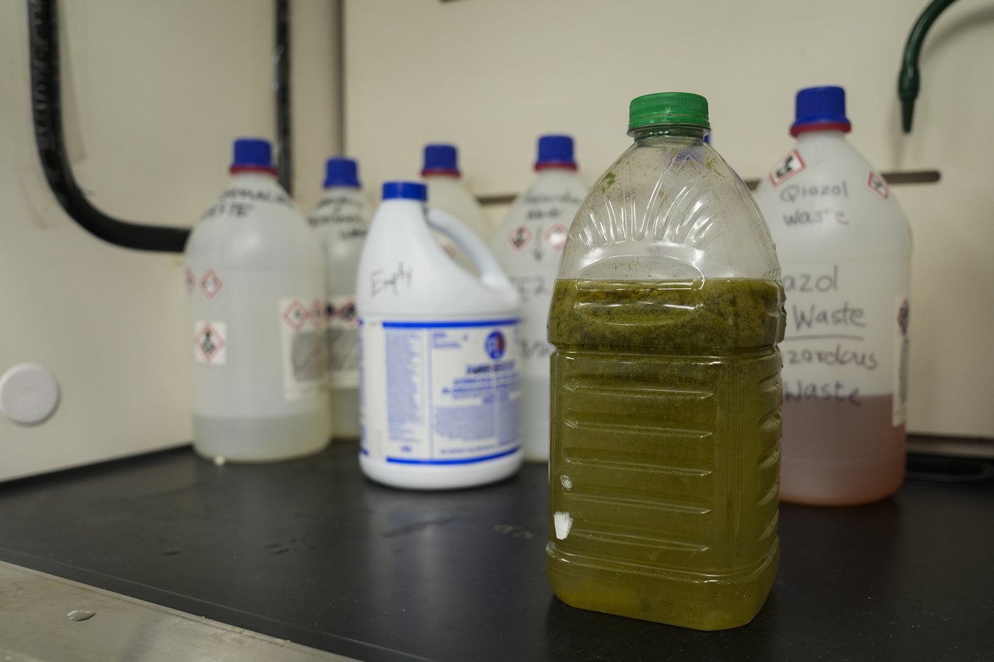 Researchers in a lab near Lake Erie study how toxic algae can damage health | iNFOnews.ca