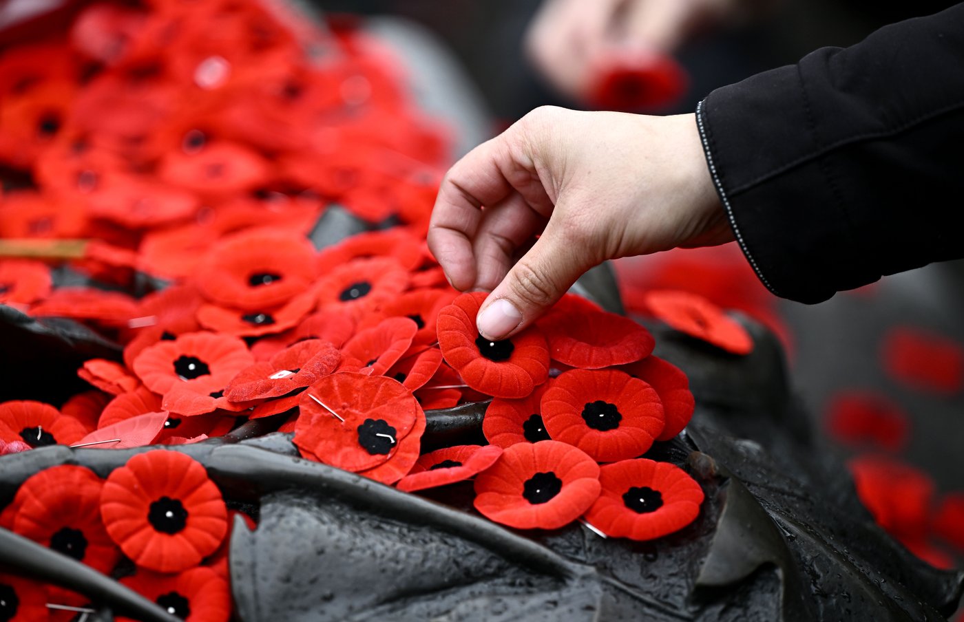 About 7 in 10 Canadians plan to mark Remembrance Day: poll | iNFOnews.ca