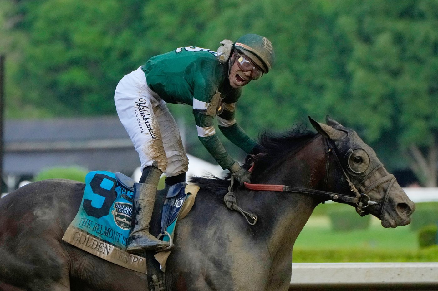 Golden Tempo wins the 158th running of the Belmont Stakes after winning the Kentucky Derby | iNFOnews.ca Golden Tempo wins the 158th running of the Belmont Stakes after winning the Kentucky Derby | iNFOnews.ca