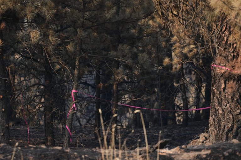 Man charged with arson in Spokane, Washington, told police he planned wildfire for weeks | iNFOnews.ca