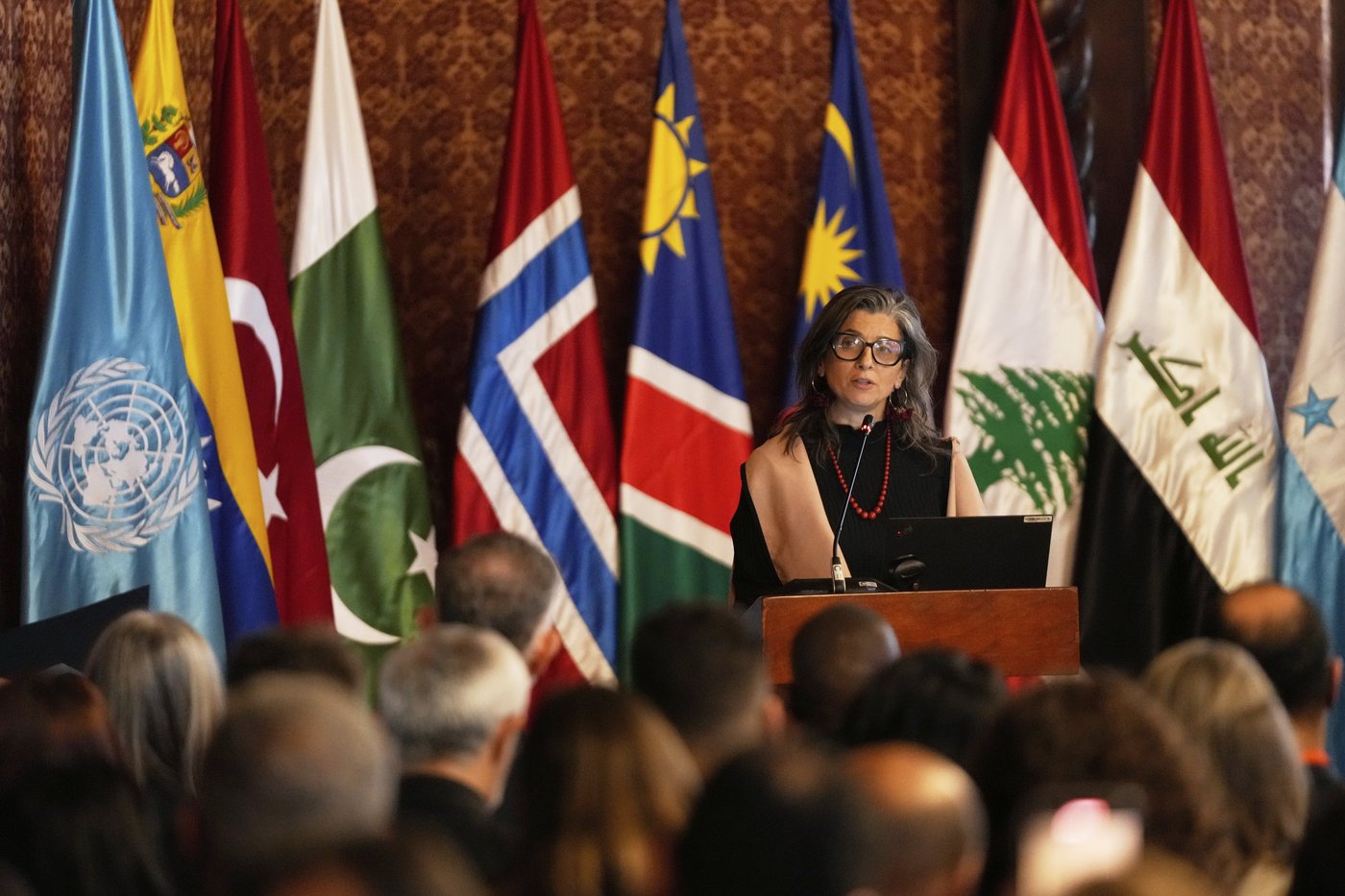 UN rapporteur calls for global action to stop 'genocide' in Gaza | iNFOnews.ca
