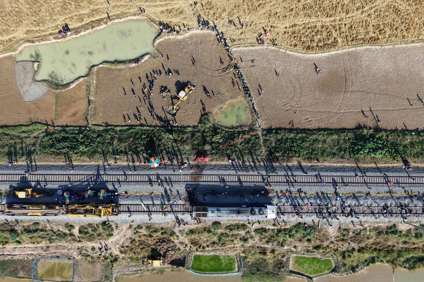 High-speed passenger train kills 7 elephants crossing railway tracks in northeast India | iNFOnews.ca High-speed passenger train kills 7 elephants crossing railway tracks in northeast India | iNFOnews.ca