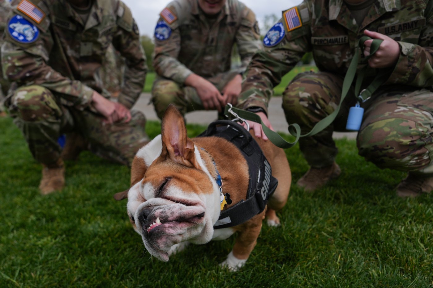 West Point military competition tests future soldiers, in photos | iNFOnews.ca