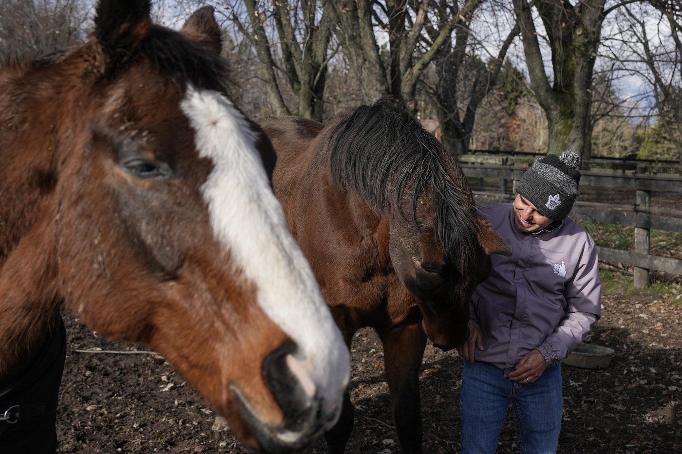 Photo Gallery: Da Silva implementing horses into wellness program | iNFOnews.ca