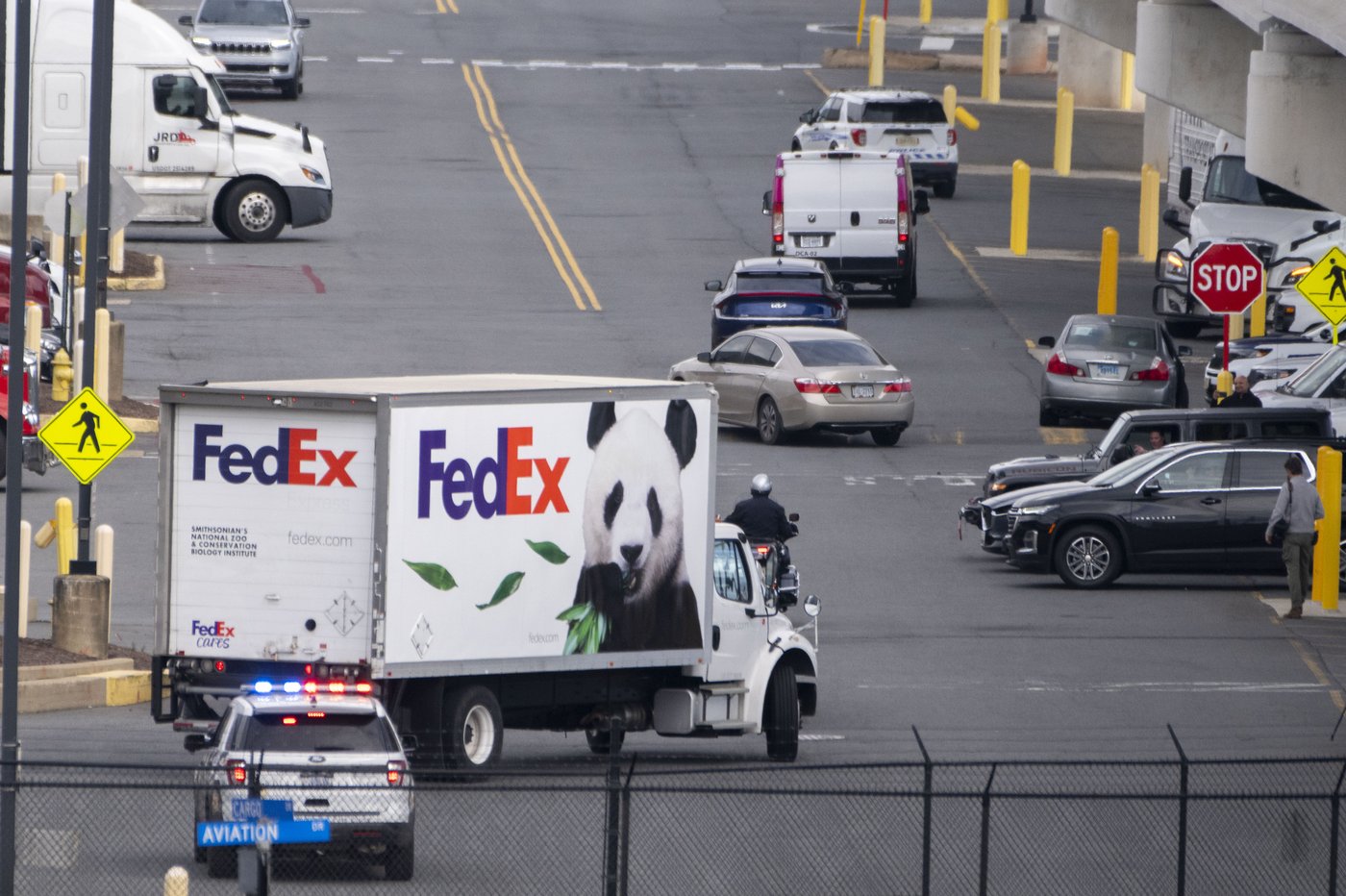 Pandas arrive at National Zoo, but won't be ready for public debut until January | iNFOnews.ca