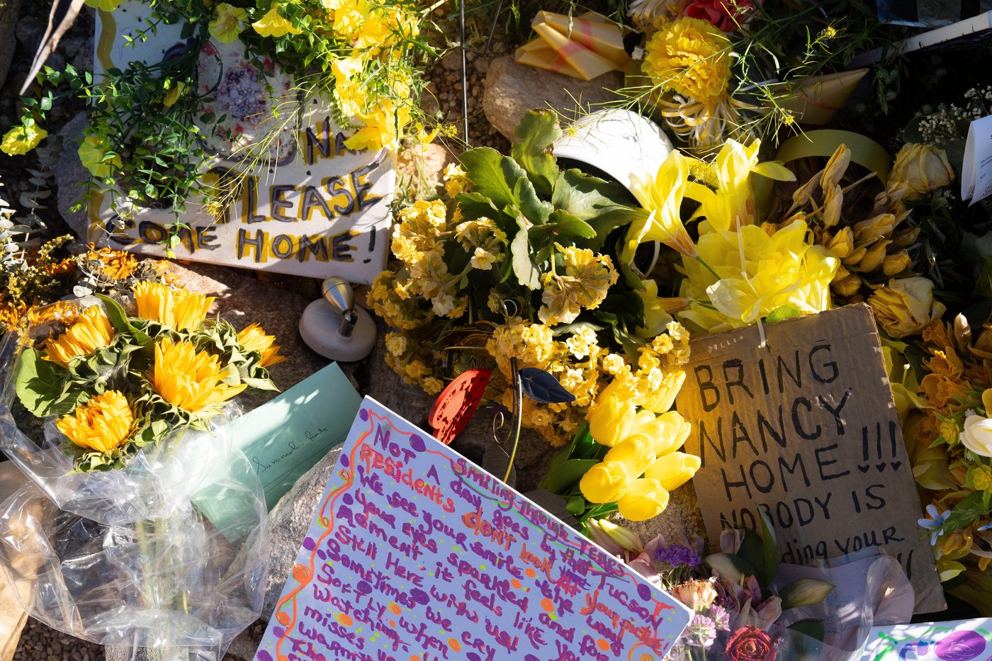 'Today' show host Savannah Guthrie begs for 'someone to come forward' in her mother's disappearance | iNFOnews.ca 'Today' show host Savannah Guthrie begs for 'someone to come forward' in her mother's disappearance | iNFOnews.ca