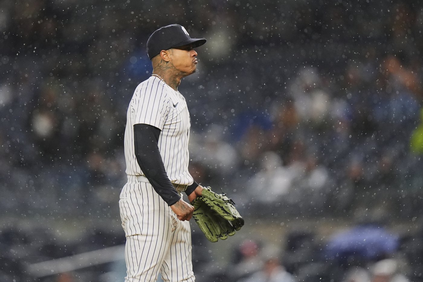 Yankees pitcher Marcus Stroman has a setback in his rehab from a left knee injury | iNFOnews.ca Yankees pitcher Marcus Stroman has a setback in his rehab from a left knee injury | iNFOnews.ca