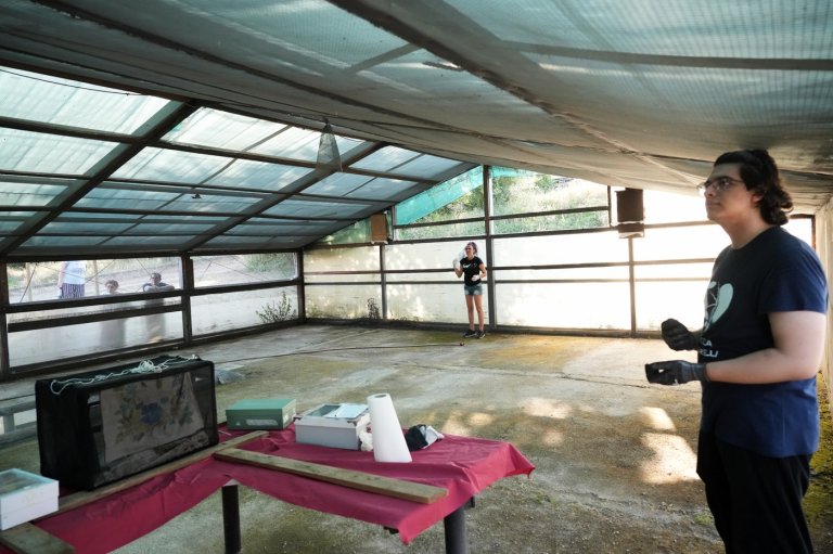 Volunteers work to protect displaced bats at an Italian Bat Conservation, in photos | iNFOnews.ca