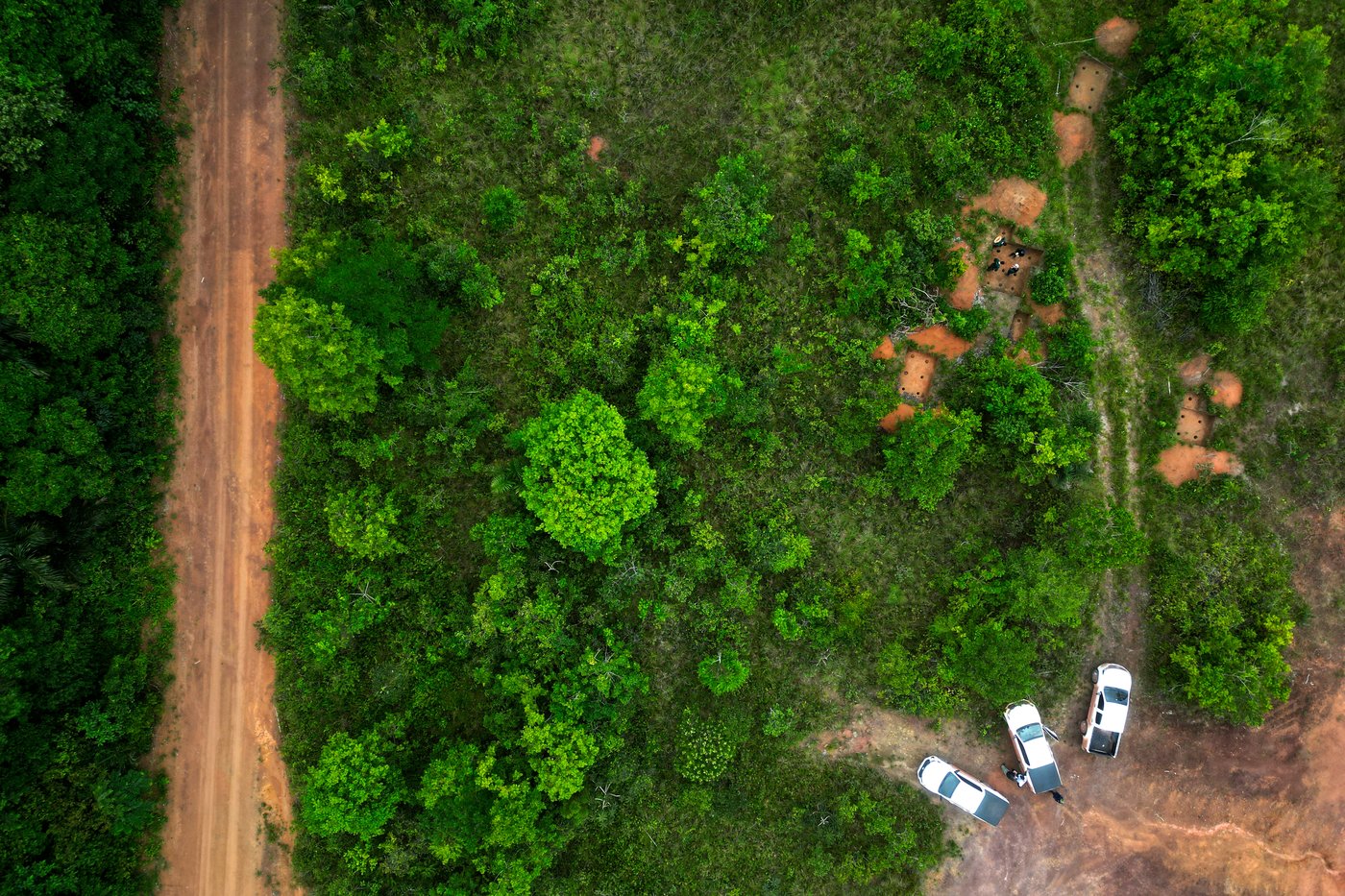 Archaeological digs in Amazon provide clues about Indigenous inhabitants before colonization | iNFOnews.ca Archaeological digs in Amazon provide clues about Indigenous inhabitants before colonization | iNFOnews.ca