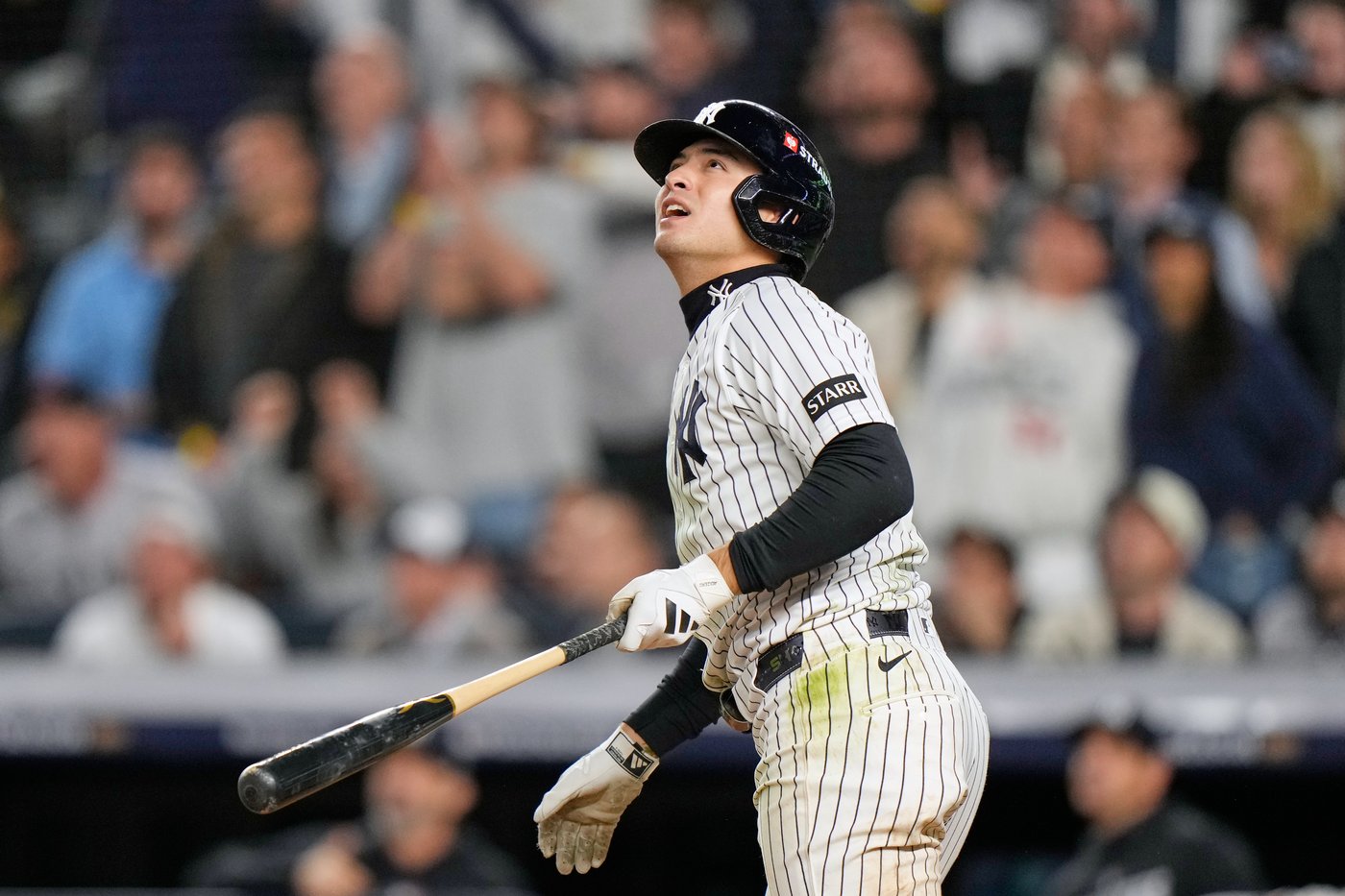 Fan interference denies Anthony Volpe a tying homer as Yankees get swept by Rays in ALDS | iNFOnews.ca