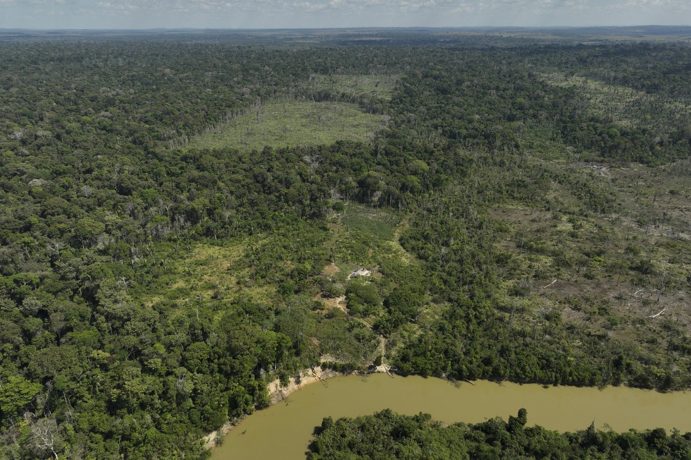 Deforestation in Brazil's Amazon drops by nearly 31% compared to previous year | iNFOnews.ca Deforestation in Brazil's Amazon drops by nearly 31% compared to previous year | iNFOnews.ca